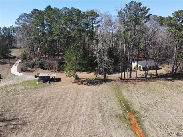 12287 PATTON PLACE, Coker, AL 35452