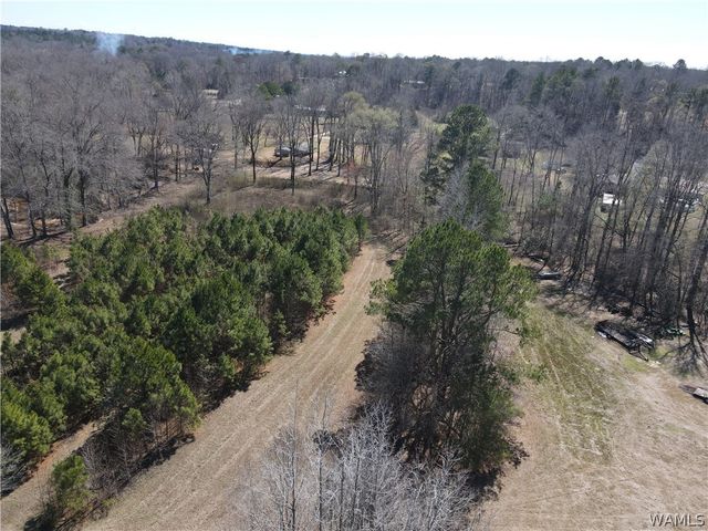 12287 PATTON PLACE, Coker, AL 35452