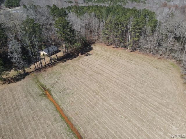 12287 PATTON PLACE, Coker, AL 35452