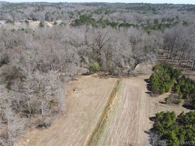 12287 PATTON PLACE, Coker, AL 35452