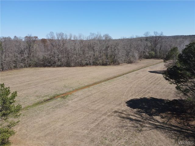 12287 PATTON PLACE, Coker, AL 35452