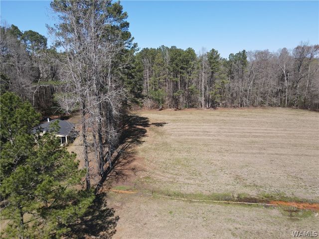 12287 PATTON PLACE, Coker, AL 35452