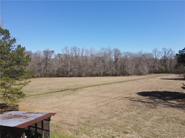 12287 PATTON PLACE, Coker, AL 35452