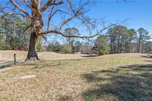 12287 PATTON PLACE, Coker, AL 35452