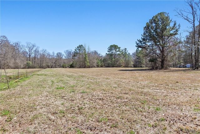 12287 PATTON PLACE, Coker, AL 35452