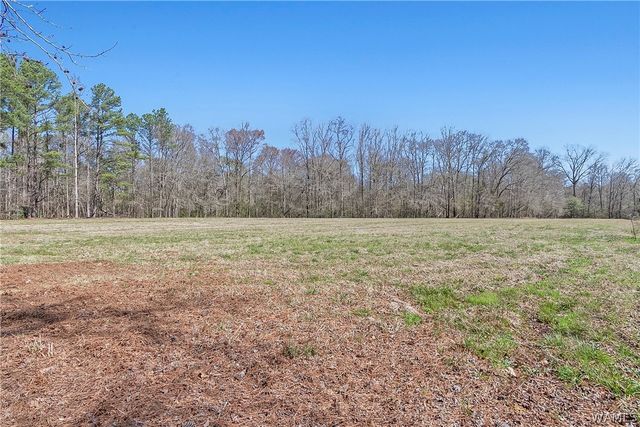 12287 PATTON PLACE, Coker, AL 35452