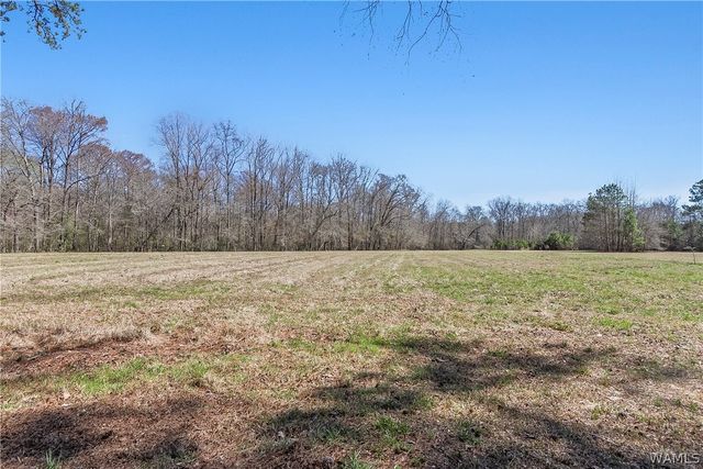 12287 PATTON PLACE, Coker, AL 35452