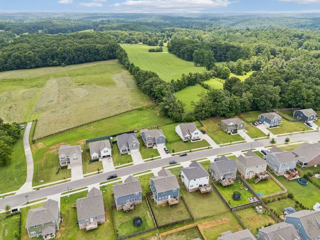 1030 Wiseman Farm Rd, Fairview, TN 37062