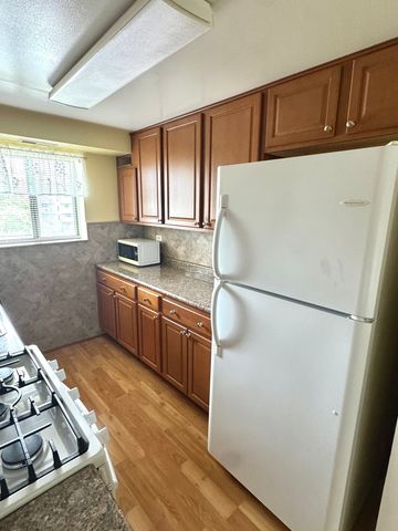 1460 Fairlane Drive 311, Schaumburg, IL 60193