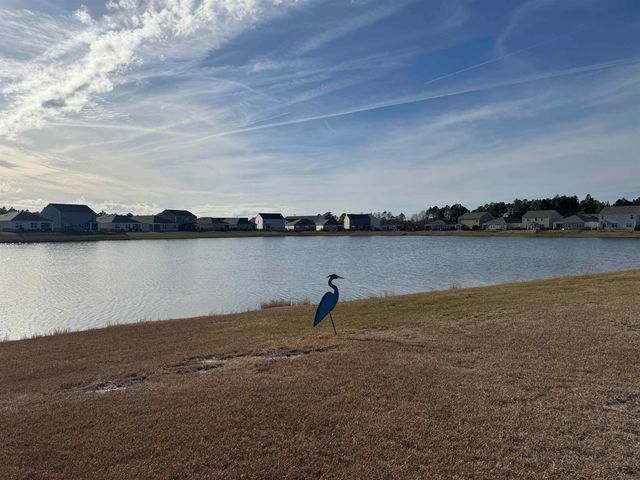 3327 Bells Lake Circle, Longs, SC 29568