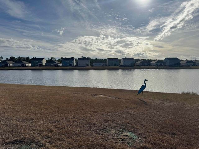 3327 Bells Lake Circle, Longs, SC 29568