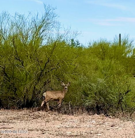 3350 W Ruthann Road, Tucson, AZ 85745