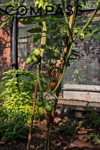 59 Lefferts Place, New York City, NY 11238