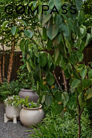 59 Lefferts Place, New York City, NY 11238