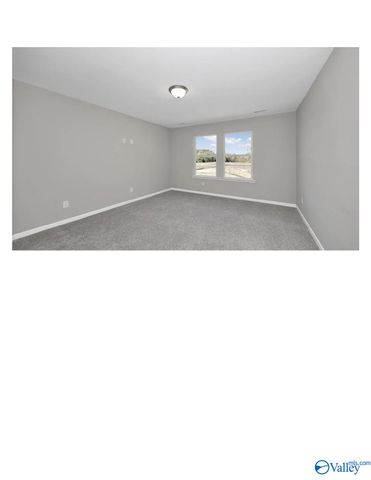 135 Plum Tree Lane, Hazel Green, AL 35750
