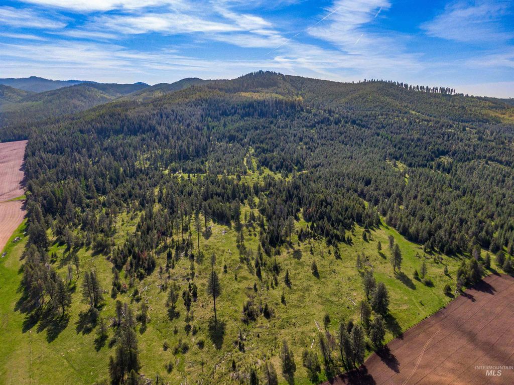 1101 Ruby Creek Rd, Harvard, ID 83834 photo 14