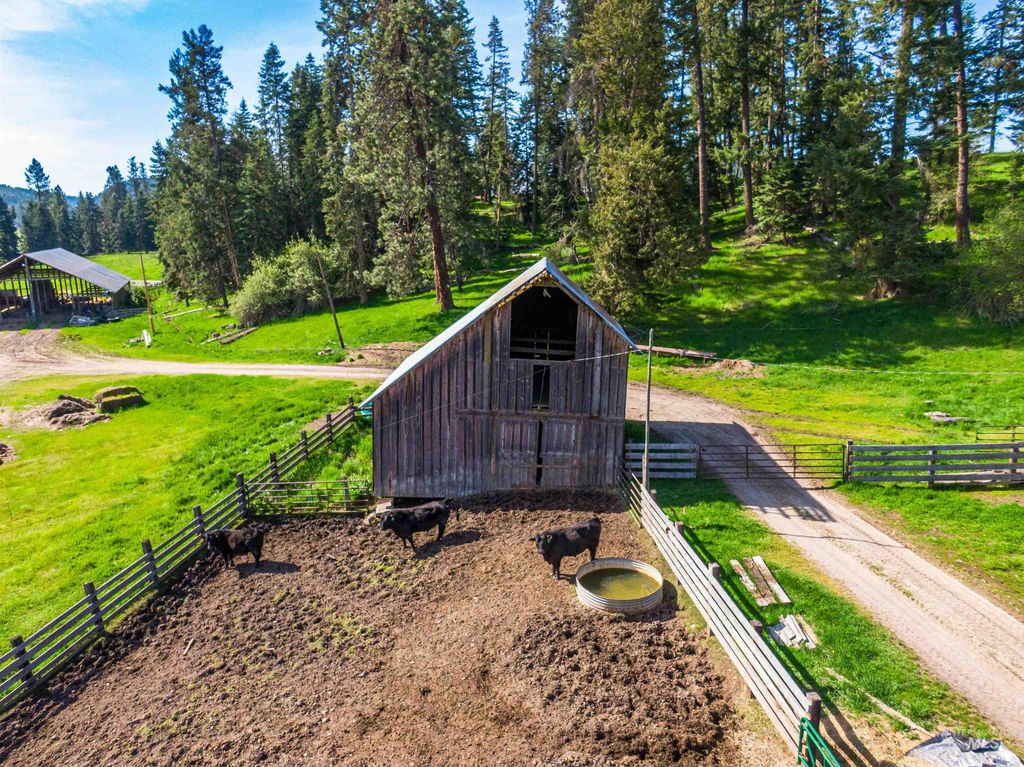 1101 Ruby Creek Rd, Harvard, ID 83834 photo 27