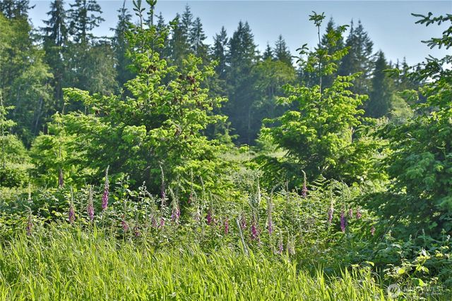2062 Goodell Road, Freeland, WA 98249