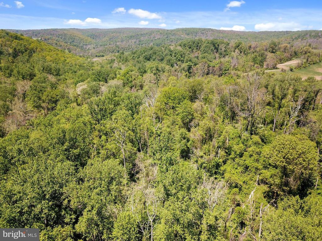 BLUE RIDGE - LEEDS MANOR ROAD, Delaplane, VA 20144