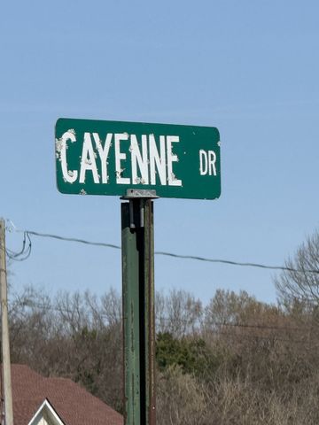 336 Cayenne Dr, Bell Buckle, TN 37020