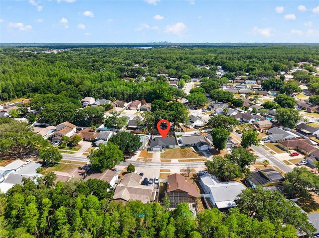 2705 LAKEVILLE DRIVE, Tampa, FL 33618