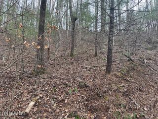 815 Tanasi Tr, Townsend, TN 37882