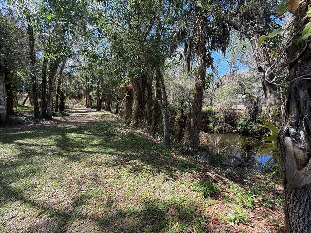 18670 Telegraph Creek LN, Alva, FL 33920