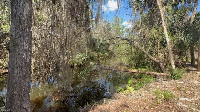 18670 Telegraph Creek LN, Alva, FL 33920