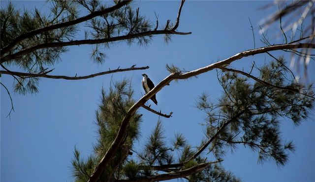 8864 BAY STREET, Placida, FL 33946