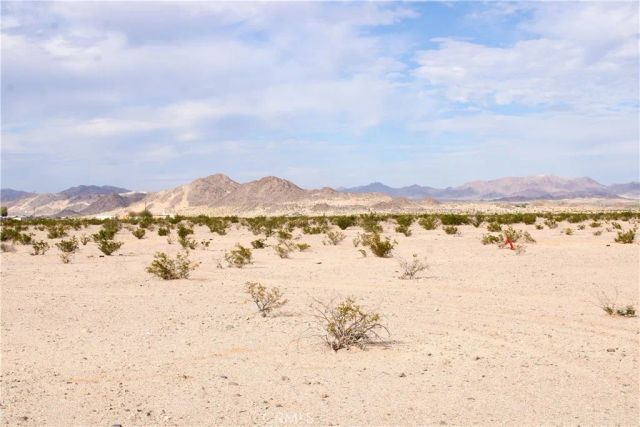 10 Indian, 29 Palms, CA 92277