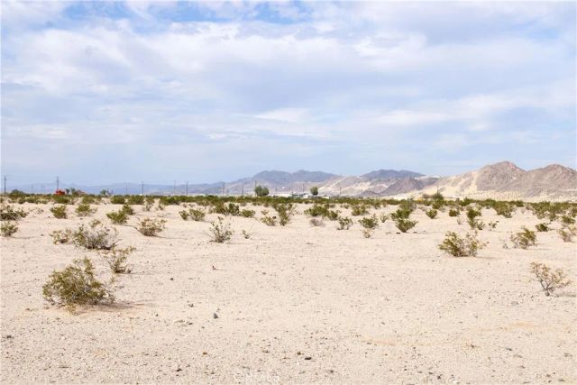 10 Indian, 29 Palms, CA 92277