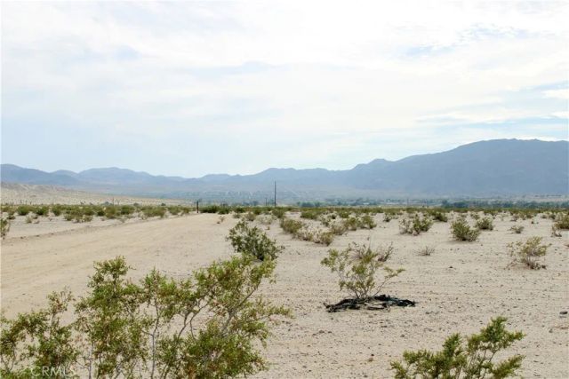 10 Indian, 29 Palms, CA 92277