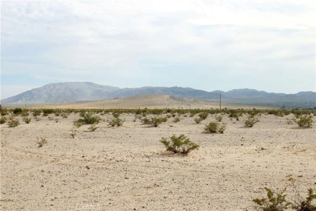10 Indian, 29 Palms, CA 92277