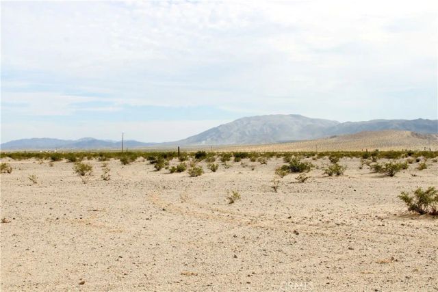 10 Indian, 29 Palms, CA 92277