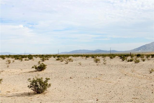 10 Indian, 29 Palms, CA 92277