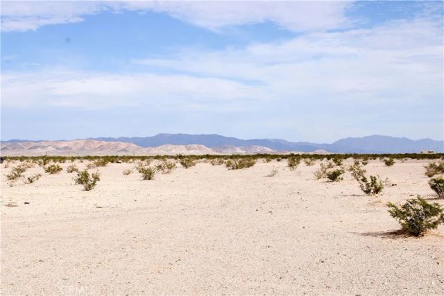 10 Indian, 29 Palms, CA 92277