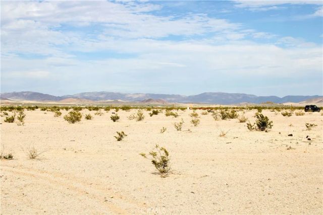 10 Indian, 29 Palms, CA 92277