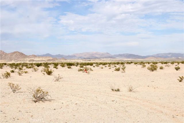 10 Indian, 29 Palms, CA 92277