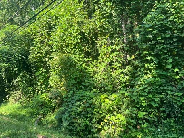 8815 Gann Road 4, Soddy Daisy, TN 37379