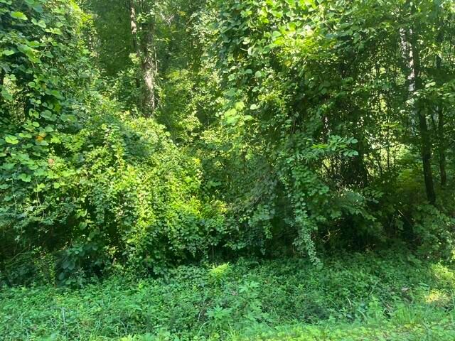 8815 Gann Road 4, Soddy Daisy, TN 37379