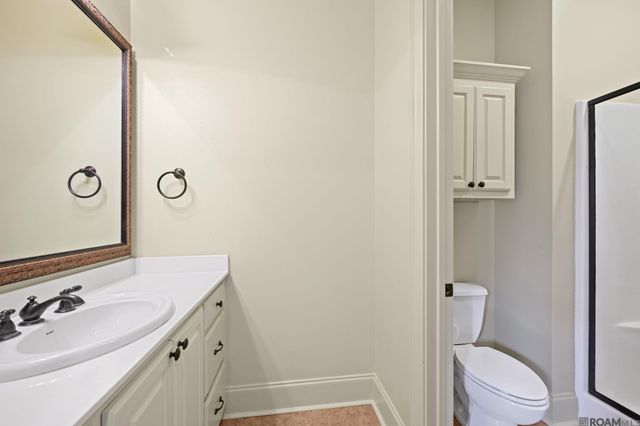 19427 Point O' Woods Ct, Baton Rouge, LA 70809