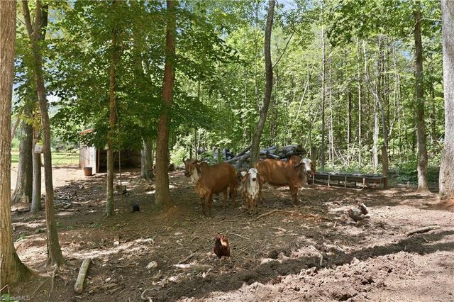 6407 Vedic Drive, Whitsett, NC 27377