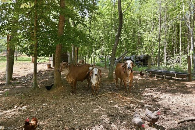 6407 Vedic Drive, Whitsett, NC 27377