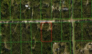 33240 TOMBSTONE STREET, Webster, FL 33597