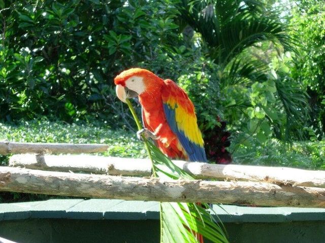 3400 N Ocean Drive 1706, Singer Island, FL 33404