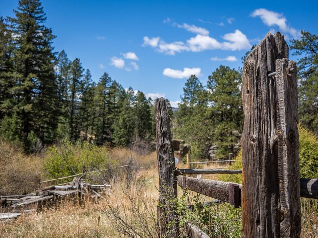 329 Snow Top Dr, Drake, CO 80515