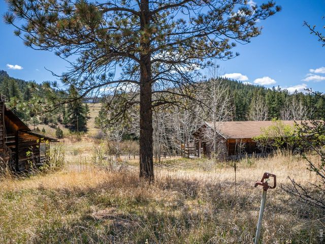 329 Snow Top Dr, Drake, CO 80515
