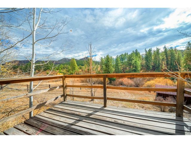 329 Snow Top Dr, Drake, CO 80515