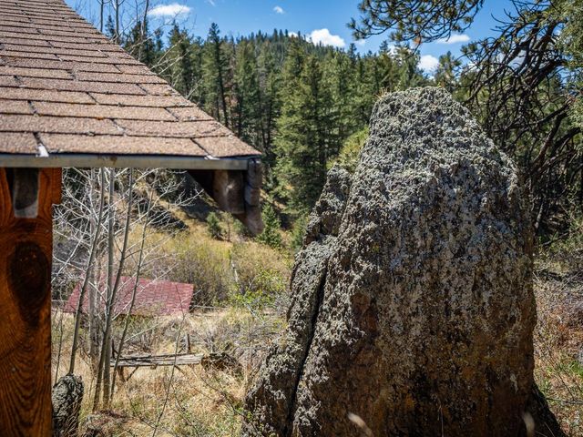 329 Snow Top Dr, Drake, CO 80515