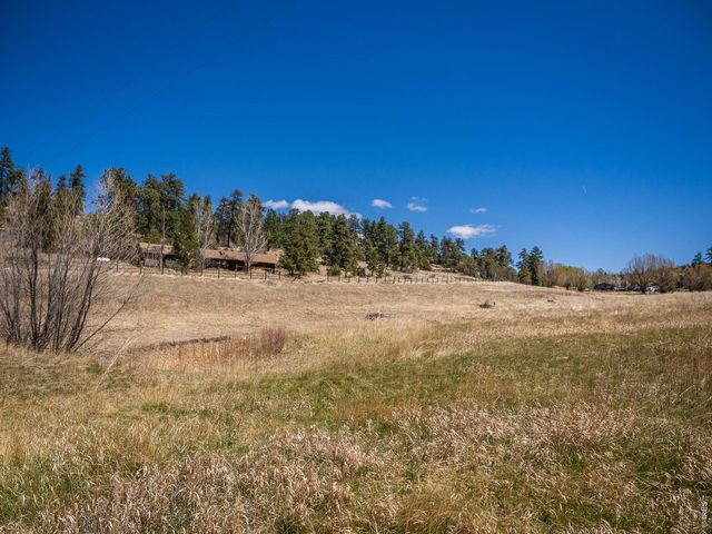 329 Snow Top Dr, Drake, CO 80515